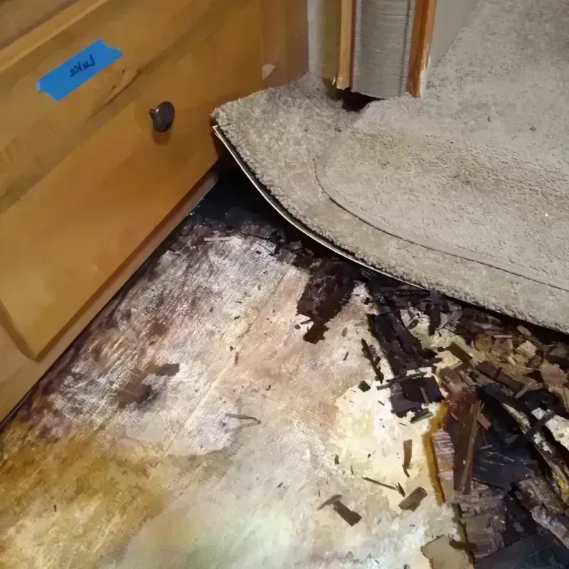 Wood Floor Water Damage in Newton, TX